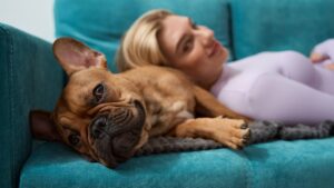 Des chercheurs prouvent que les chiens ressemblent à leurs maîtres