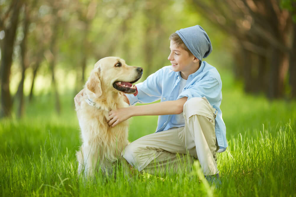 Les chiens ressembleraient à leurs maîtres
