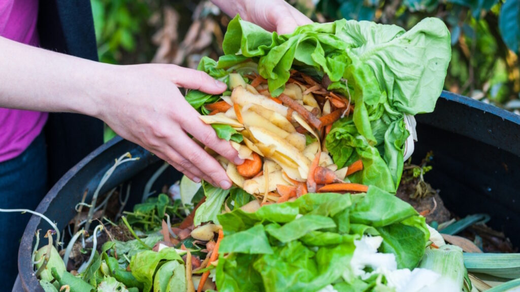 Limiter le gaspillage alimentaire