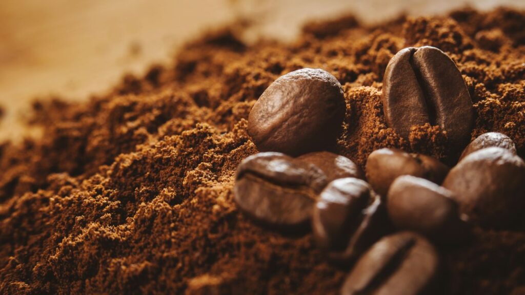 arabica
