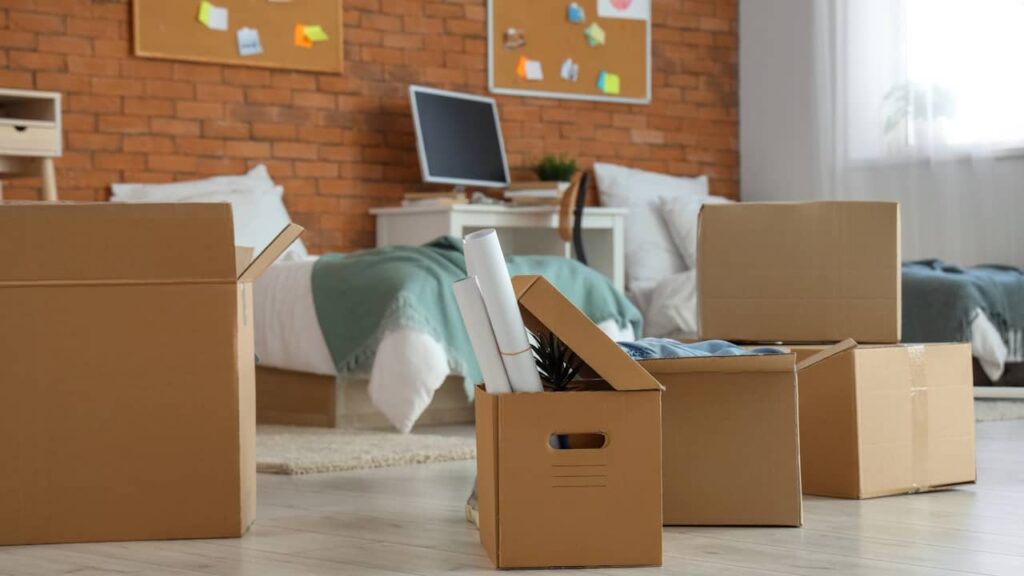 carton logement