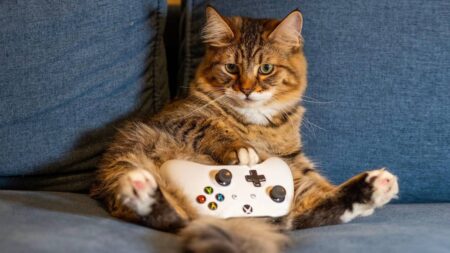 Jeu multiplateforme : une expérience fluide de la console au mobile
