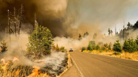 Climat ce que révèlent les nouvelles données en 2025