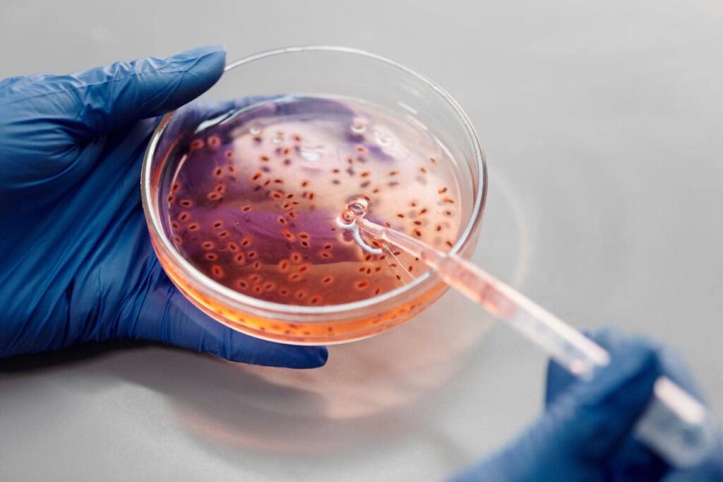 biotechnologie