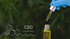 Comment l’huile de CBD soulage-t-elle le stress quotidien ?
