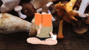 livres champignons