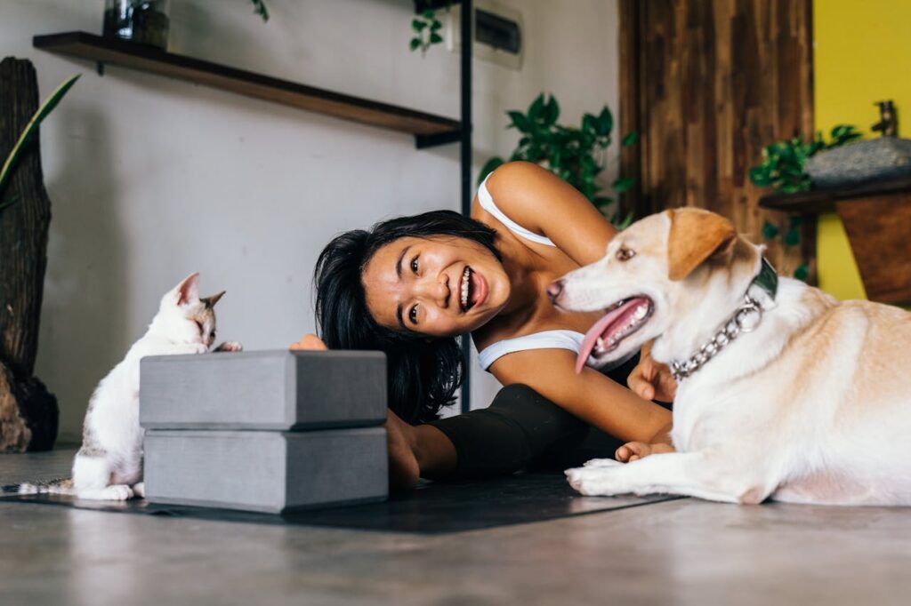 Selon une étude, posséder un chien ou un chat rendrait aussi heureux que de gagner «plus de 80.000 euros par an»