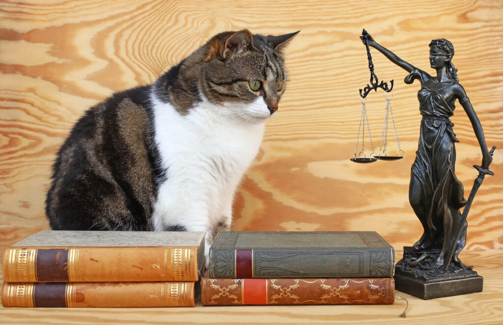 En France, un chien ou un chat ne peut pas hériter directement