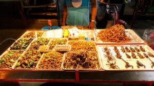 Les insectes qui pourraient devenir la nourriture principale de demain