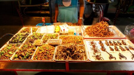 Les insectes qui pourraient devenir la nourriture principale de demain