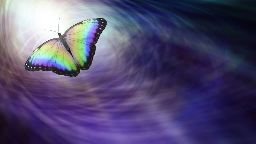papillon lumiere