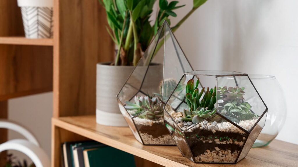 Jardin d’intérieur : comment créer un mini terrarium auto-entretenu en milieu urbain