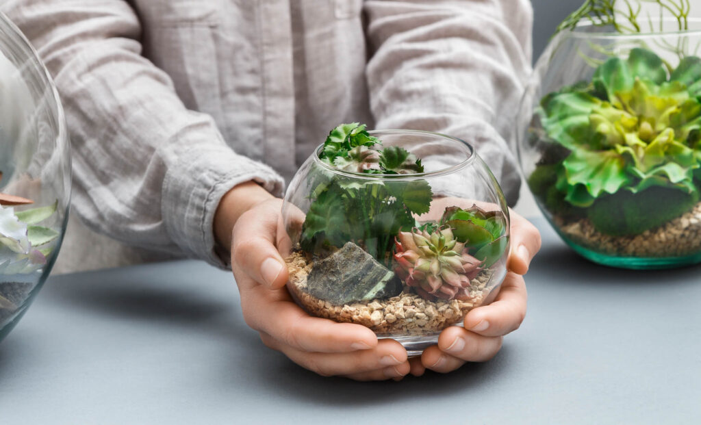 Terrarium auto-entretenu