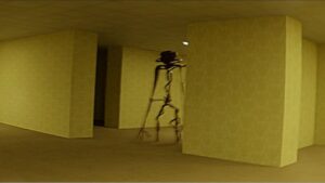 backrooms