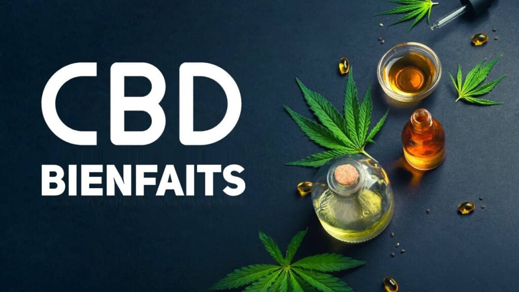 Quels sont les bienfaits prouvés de la consommation du CBD sur la santé ?