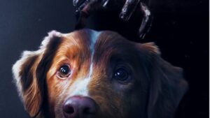 good boy chien meurt reponse
