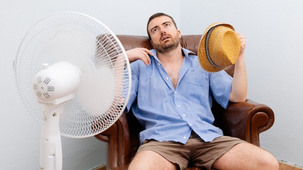 La régulation de la température corporelle