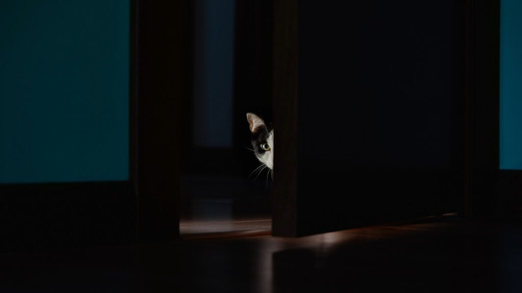 La surveillance de la maison