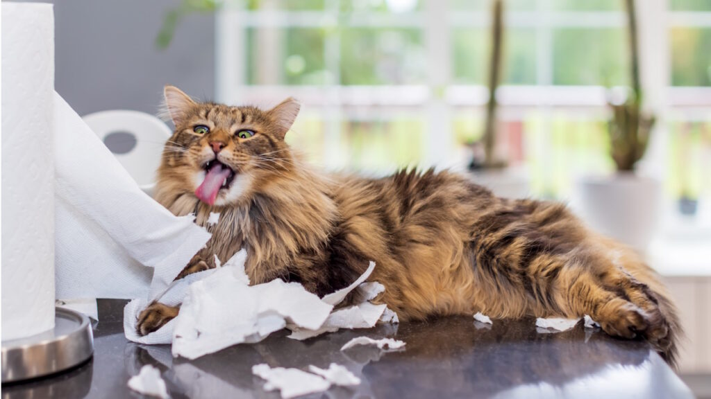 Les moments d’anxiété ou de stress