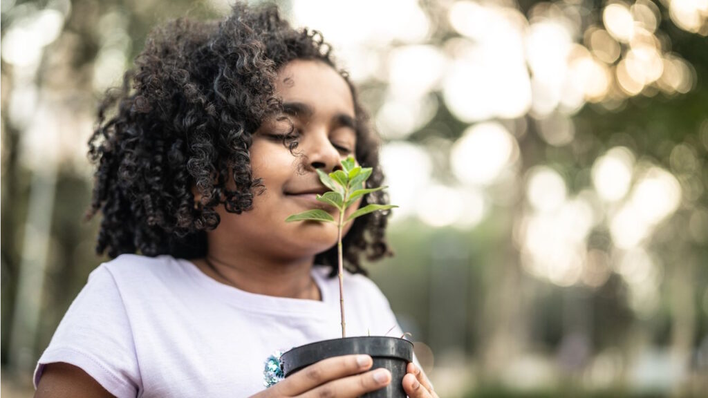 L’importance de la connexion à la nature