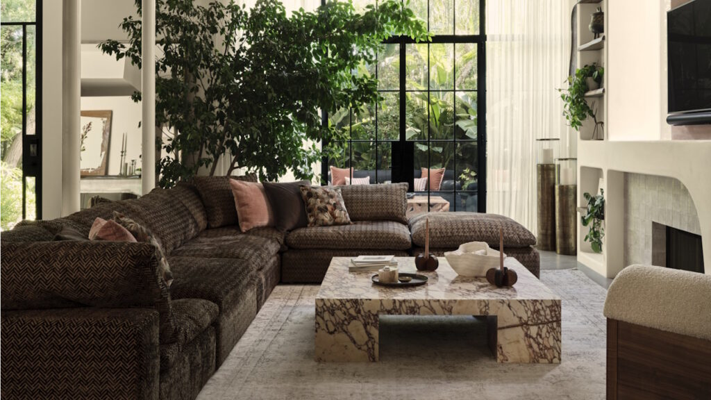 Introduire ou déplacer des plantes