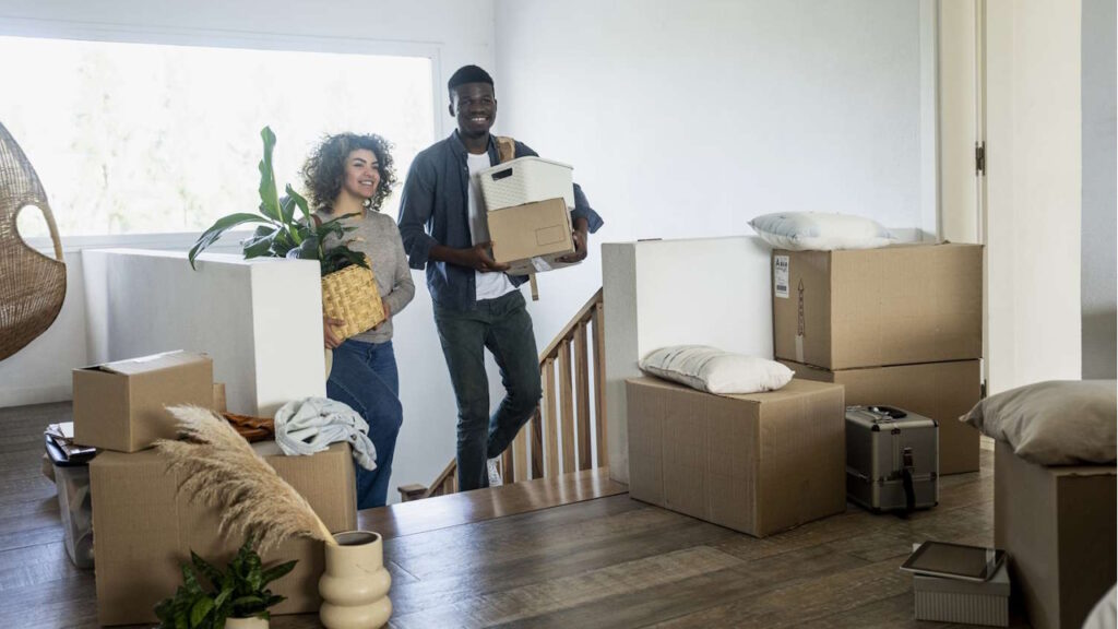 Les objets décoratifs impulsifs