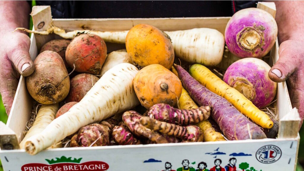 Ces aliments oubliés qui reviennent dans nos assiettes