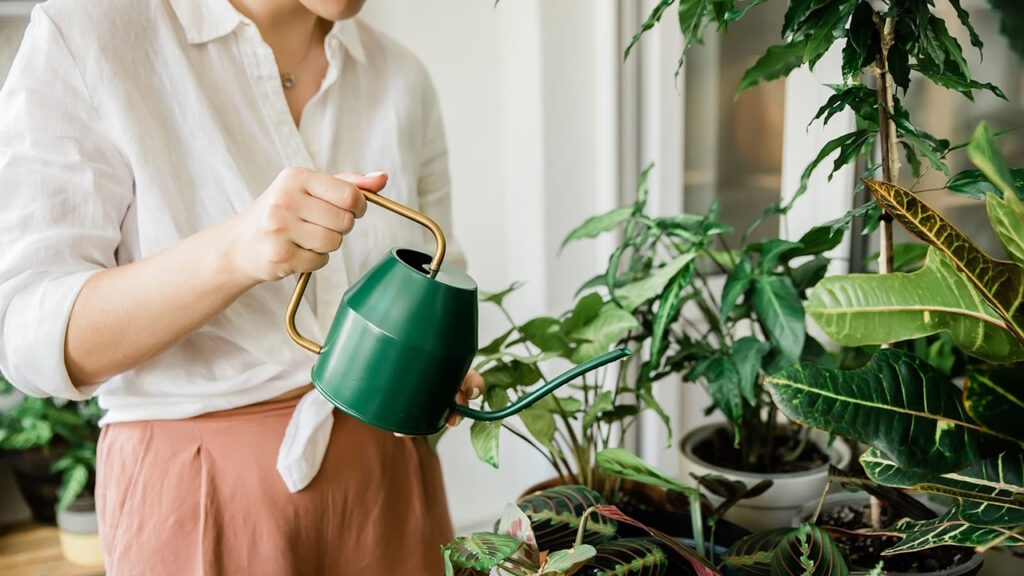 La question de la qualité de l’air