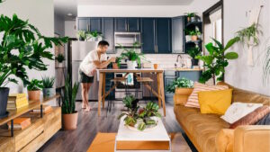 Les plantes d’intérieur deviennent-elles indispensables