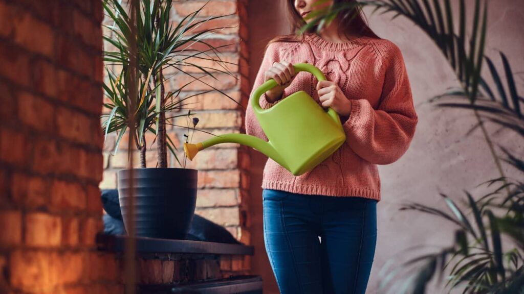 femme arrose plante