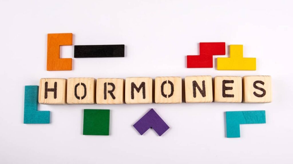 hormones