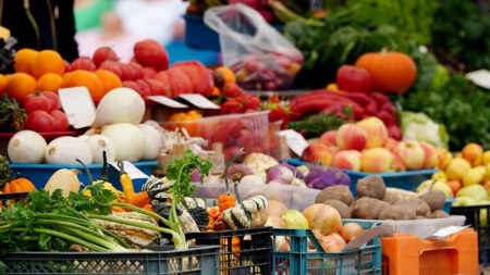 Aliments oubliés : des idées pour les intégrer facilement dans vos plats Aliments oubliés