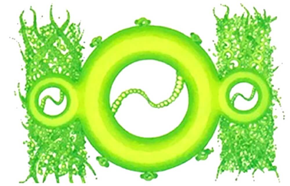 Dkrtzy RRR, un des super-héros impossibles à tuer