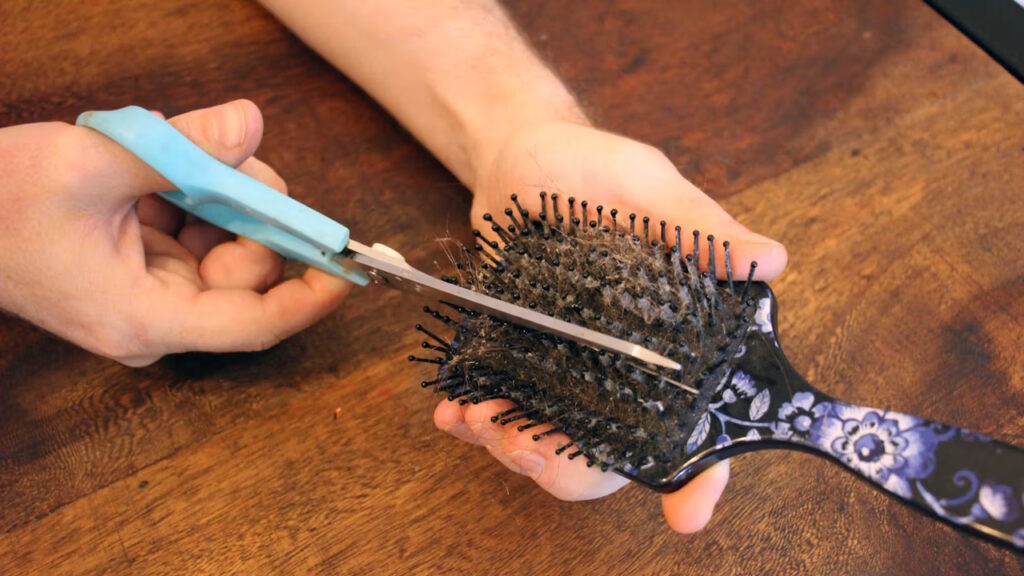 Oublier de nettoyer les brosses à cheveux