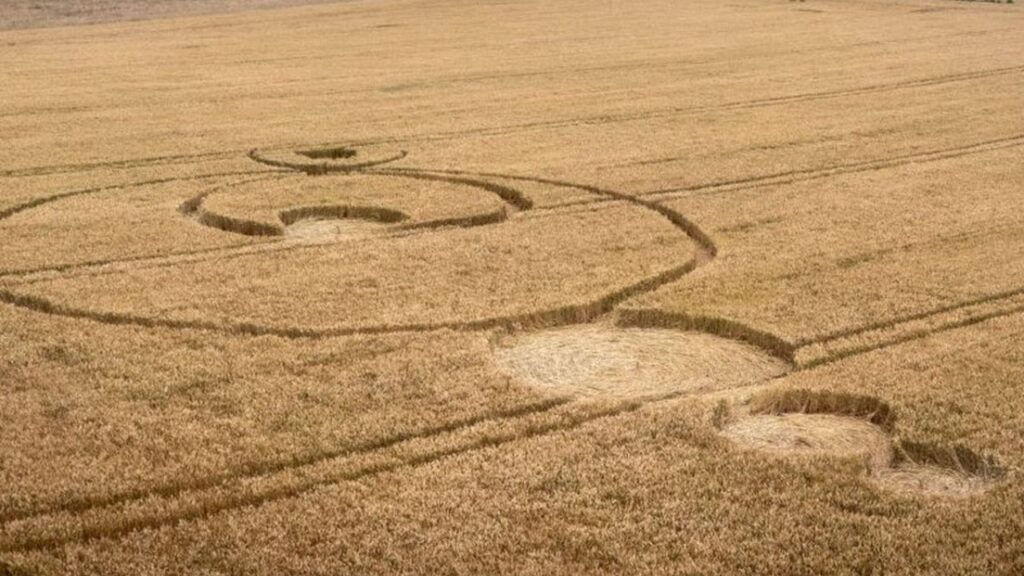 crop circle