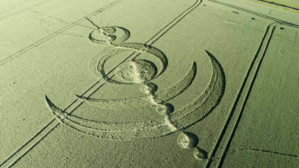 crop circles art