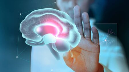 Vous ne le connaissez presque pas, pourtant l’hypothalamus contrôle votre corps en permanence cerveau