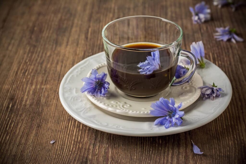 tasse chicoree