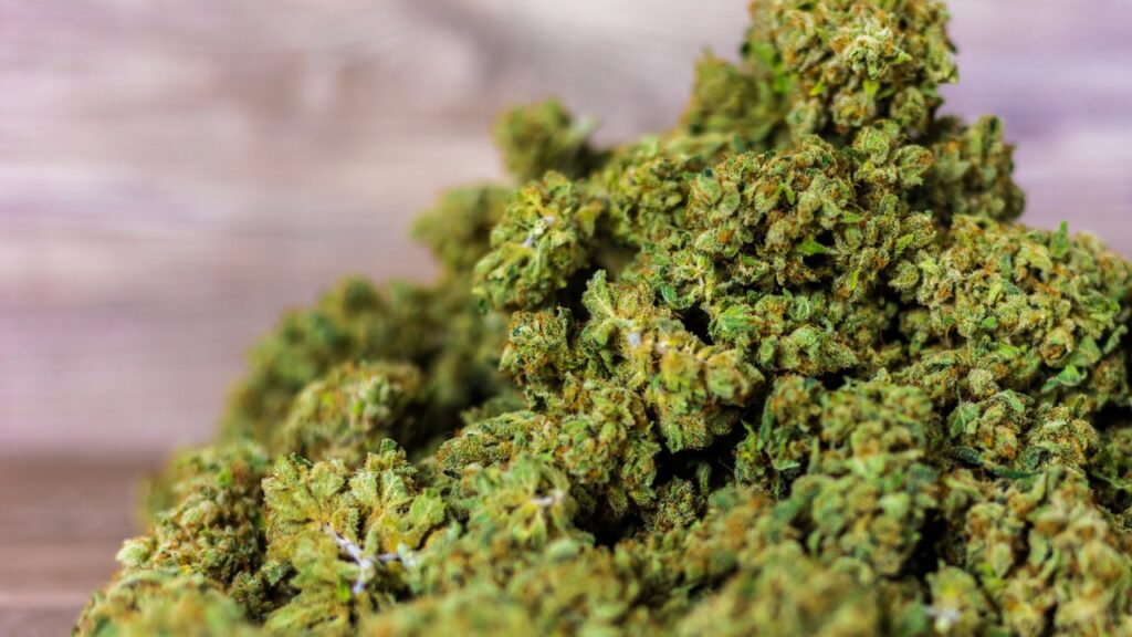 cbd fleur