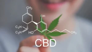Quels sont les meilleures résines CBD en France en 2026 ?