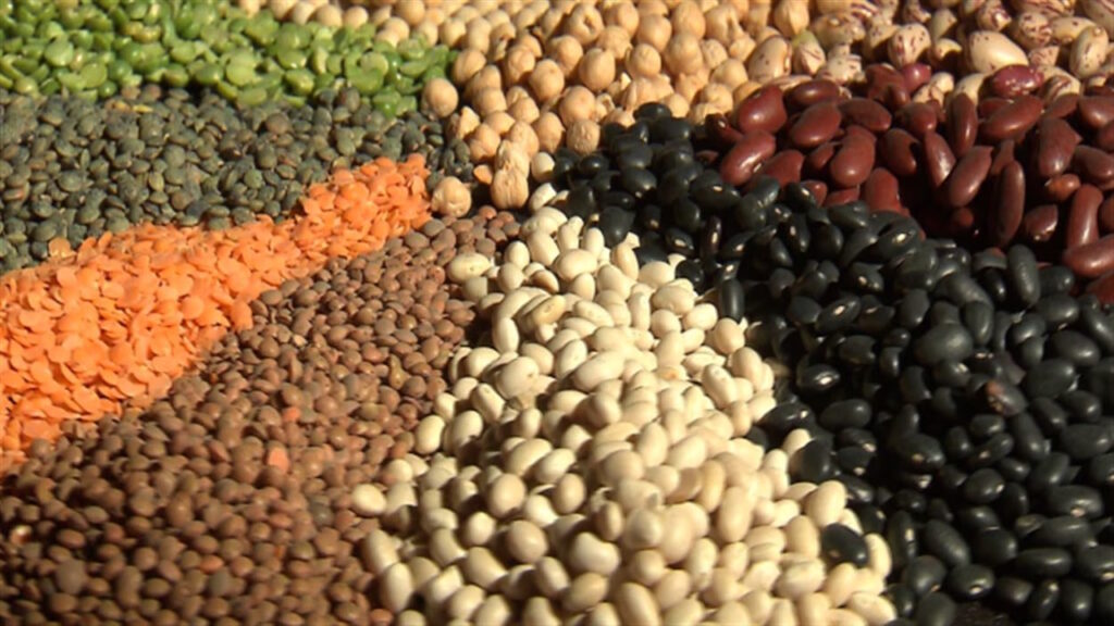 Certains aliments peuvent provoquer une fermentation excessive