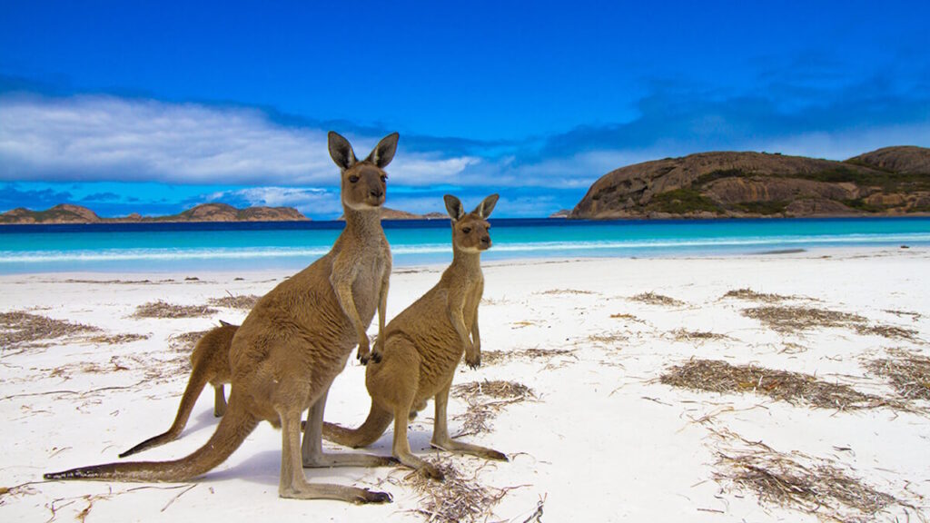 Kangaroo Island
