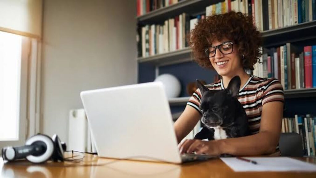 Utiliser ses compétences pour proposer des services en ligne