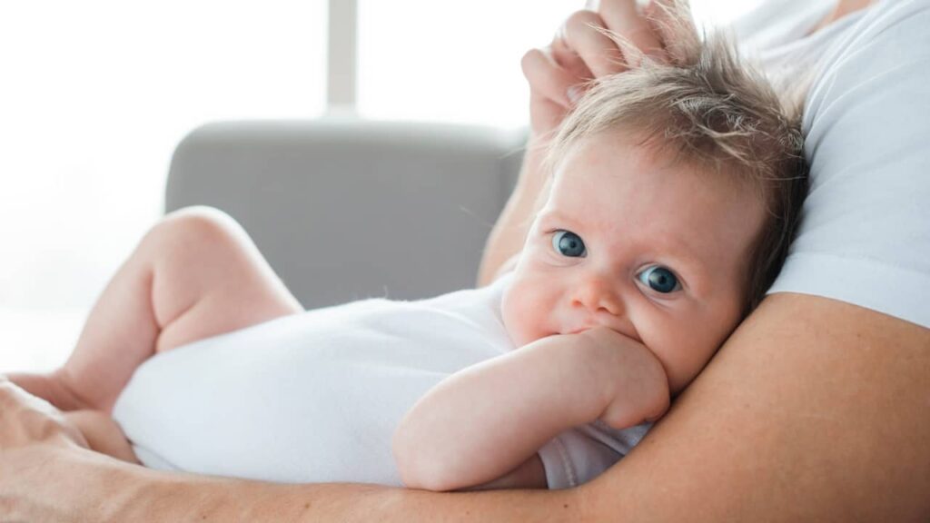 bebe