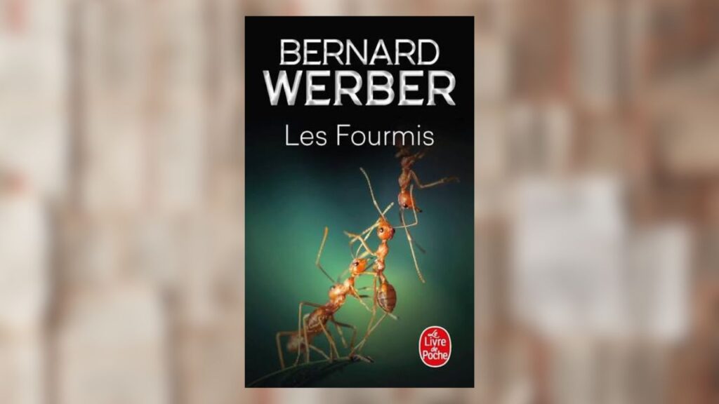 fourmis werber