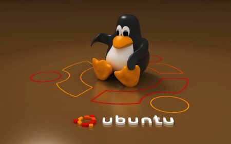 Linux et ses failles de sécurité récentes : pourquoi je ne panique pas Linux et ses failles de sécurité