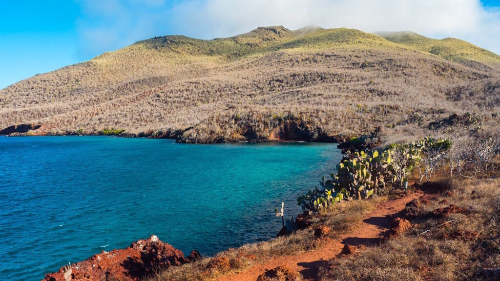 Les îles Galápagos
