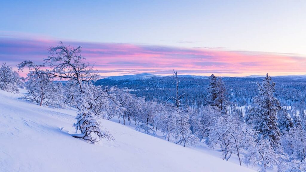 paysage hiver