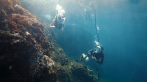 pub Decathlon EasyBreath Dive 2026