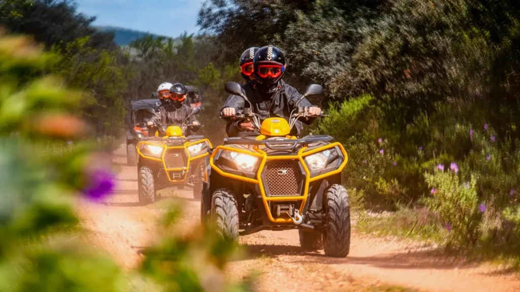 quad tout terrain